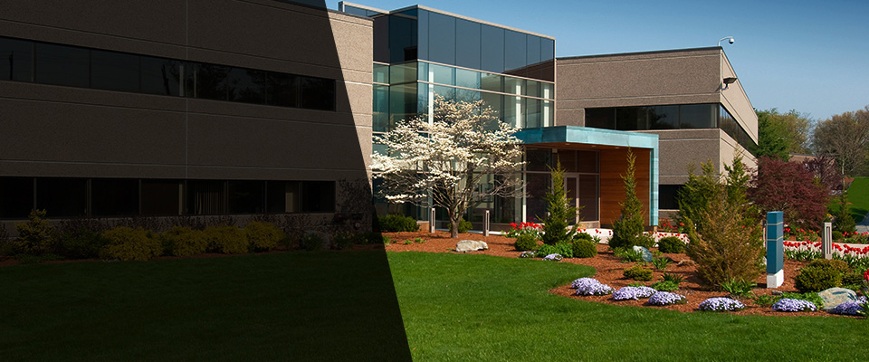 Gonzales Landscapers